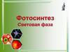 Фотосинтез. Световая фаза