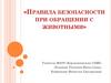 Правила безопасности при обращении с животными