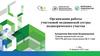 Организация работы участковой медицинской сестры педиатрического участка