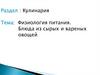 Физиология питания. Блюда из сырых и вареных овощей