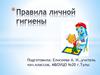 Правила личной гигиены