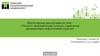 Эколого-экономические аспекты управления предприятием нефтегазовой отрасли