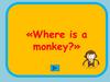 Where is a monkey. Game
