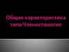 Общая характеристика типа Членистоногие