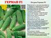Огурец Герман F1