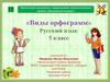 Виды орфограмм