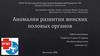 Аномалии развития женских половых органов