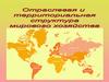 Отраслевая и территориальная структура мирового хозяйства