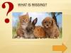 What is missing. Animals