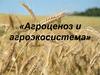 Агроценоз и агроэкосистема