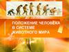 Положение человека в системе животного мира