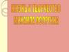 Жизнь и творчество Михаила Осоргина
