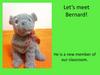 Let’s meet Bernard!