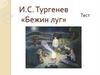 И.С. Тургенев «Бежин луг». Тест