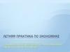 Летняя практика по экономике