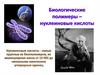 Биологические полимеры – нуклеиновые кислоты