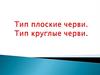 Тип плоские черви. Тип круглые черви