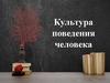 Культура поведения человека