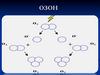 Озон