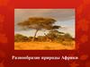 Разнообразие природы Африки