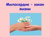 Милосердие – закон жизни