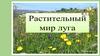 Растения луга