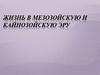 Жизнь в мезозойскую и кайнозойскую эру