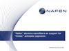 “Nafen” alumina nanofibers as support for “Iriotec” antistatic pigments