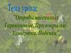 Отряды насекомых: таракановые, прямокрылые, уховёртки, подёнки