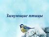Зимующие птицы