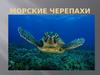 Морские черепахи