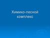 Химико-лесной комплекс