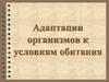 Адаптации организмов к условиям обитания