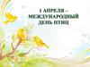 День птиц