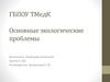 Основные экологические проблемы