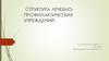 Структура лечебно- профилактических учреждений