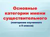 Основные категории имени существительного