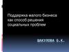 Поддержка малого бизнеса как способ решения социальных проблем