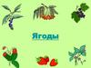 Ягоды