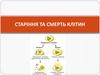 Старіння та смерть клітин