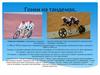 Гонки на тандемах
