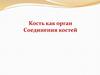 Кость как орган. Соединения костей