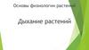 Основы физиологии растений. Дыхание растений