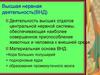 Высшая нервная деятельность (ВНД)