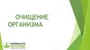 Очищение организма