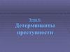 Детерминанты преступности