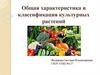 Общая характеристика и классификация культурных растений