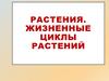 Растения. Жизненные циклы растений