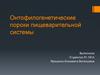 Онтофилогенетические пороки пищеварительной системы