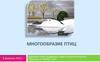 Многообразие птиц